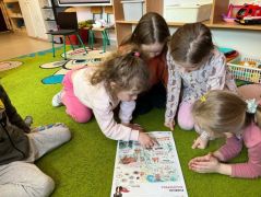 większy obrazek nr 4