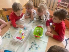 większy obrazek nr 5