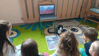 większy obrazek nr 2