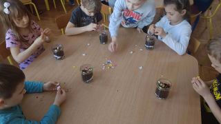 większy obrazek nr 7