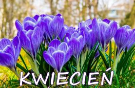 ilustracja do wpisu 
Zamierzenia dydaktyczne na miesiąc kwiecień