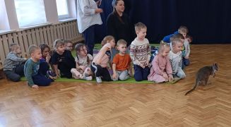 większy obrazek nr 13