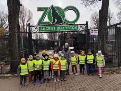 większy obrazek nr 4