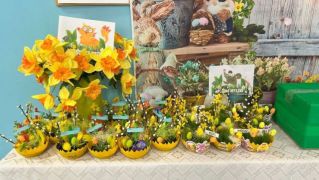 większy obrazek nr 1