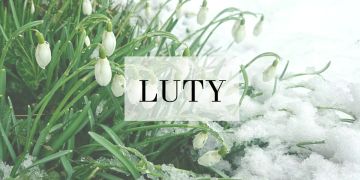 ilustracja do wpisu 
Luty