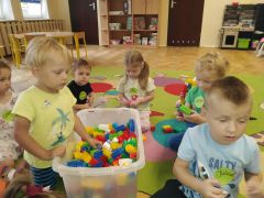 większy obrazek nr 5