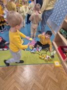 większy obrazek nr 10