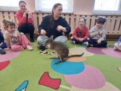 większy obrazek nr 2