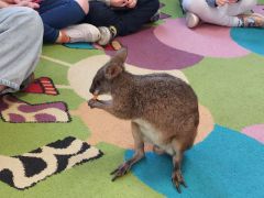 większy obrazek nr 3