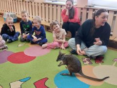 większy obrazek nr 6