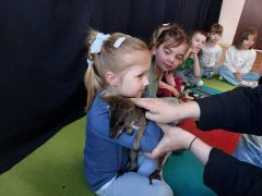 większy obrazek nr 8