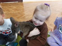 większy obrazek nr 13