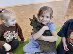 większy obrazek nr 14