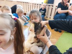 większy obrazek nr 17