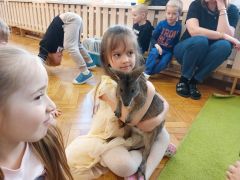 większy obrazek nr 18