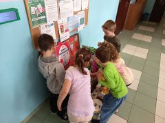 większy obrazek nr 3