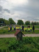 większy obrazek nr 3