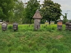 większy obrazek nr 5